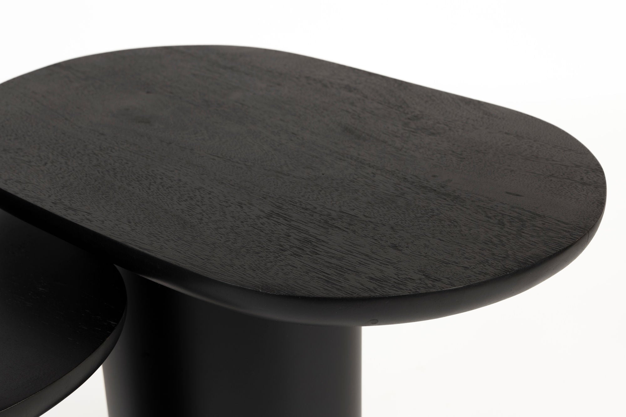 Set of 2 Bela Organic Black Side Tables